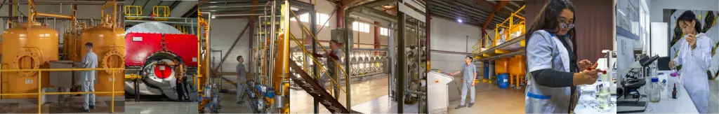 Производственный процесс на Жаркентском крахмалопаточном заводе